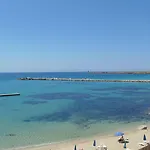 Palm 3*