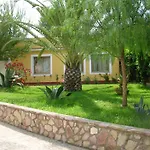 Palm 3*