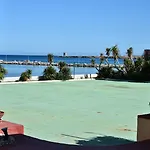 Palm