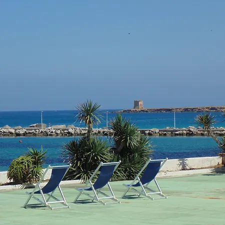 Palm Cinisi