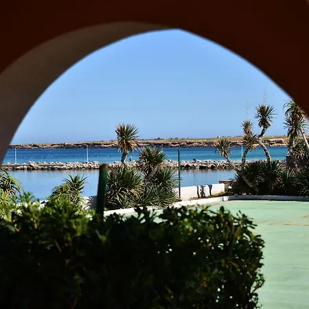 Palm Cinisi