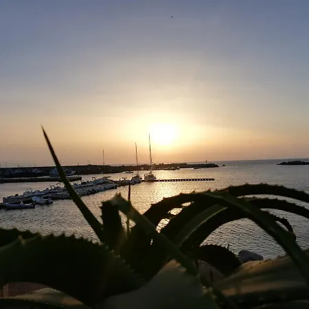 Palm Cinisi