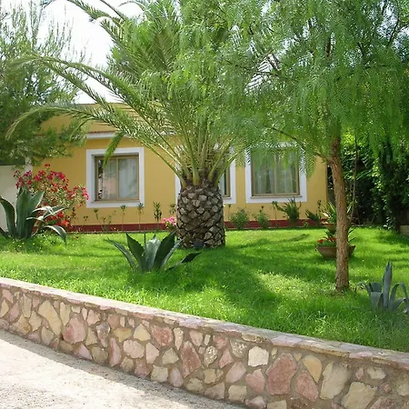 Hotel Palm 3*