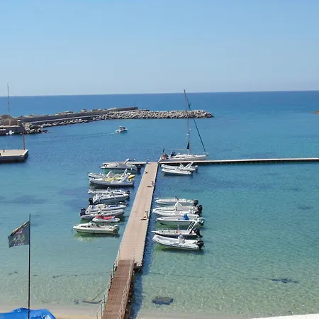 Palm Hotel 3*