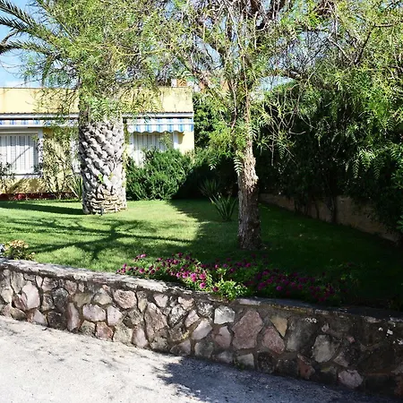 Palm Cinisi