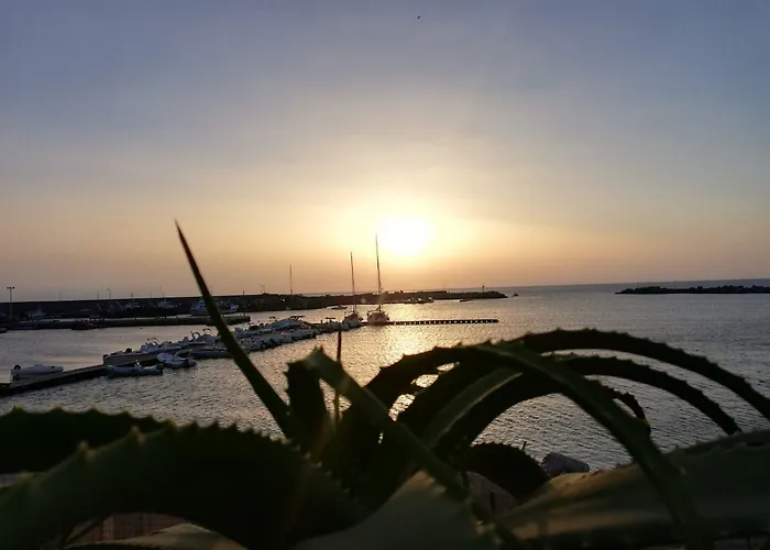 Palm 3* צ'יניזי